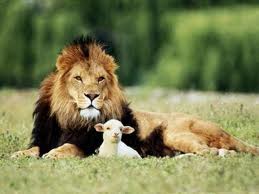 lion and lamb